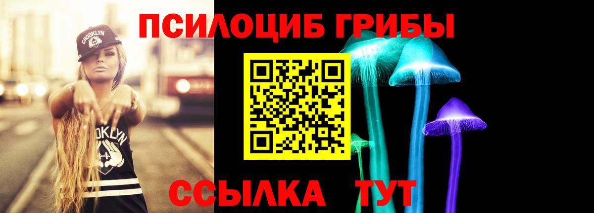 Псилоцибиновые грибы прущие грибы  Вход с VPN  Саранск  Псилоцибиновые грибы Psilocybine cubensis 
